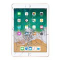 Riparazione del Vetro del Display e Touch Screen del iPad 9.7 (2018) - Bianco