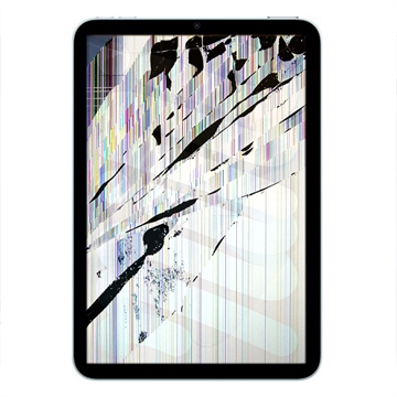 Riparazione LCD e Touch Screen per iPad Mini (2024) - Nero