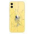 iPhone XS Back Cover Repair - Glass Only - Black