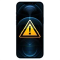 Riparazione dell'auricolare iPhone 12 Pro Max