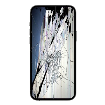 Riparazione LCD e Touch Screen per iPhone 13 Pro Max - Nero - Grado A