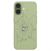 Riparazione della cover posteriore di iPhone 17 - Solo vetro - Sage
