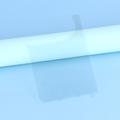 Proteggi Cover Posteriore per iPhone Duo - 9H - Trasparente
